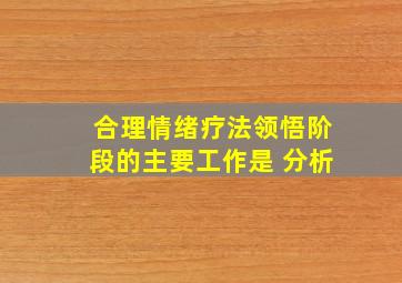 合理情绪疗法领悟阶段的主要工作是 分析